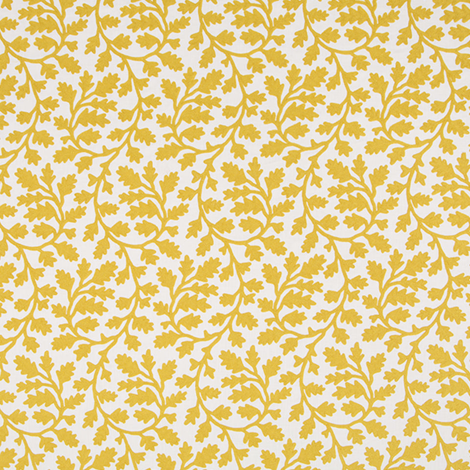 FOLK VINE | JONQUIL