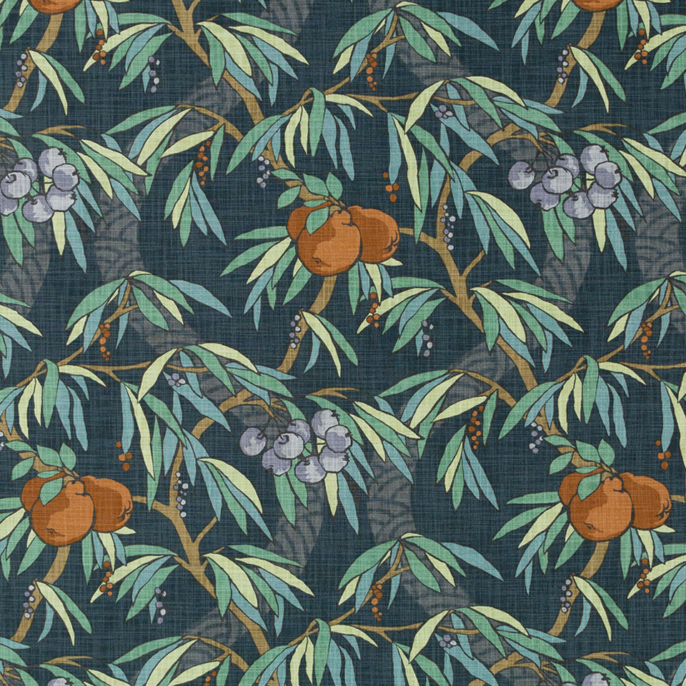 NOUVEAU FRUIT | GRAPHITE