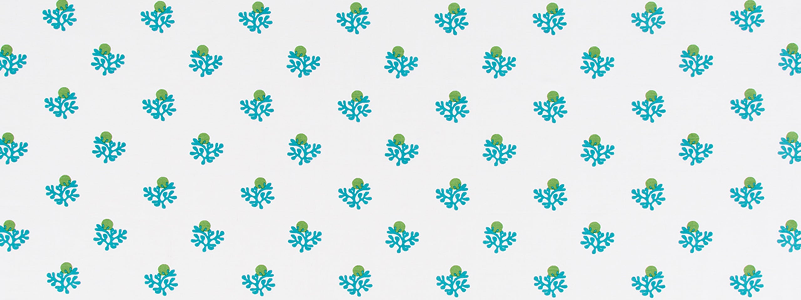 KARAKITO | AQUA