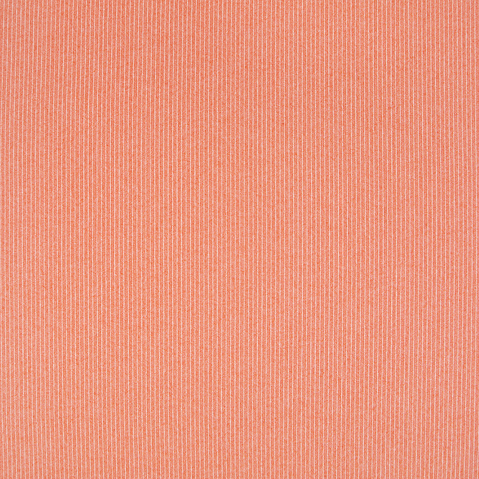 PERTHSHIRE | TOMATO
