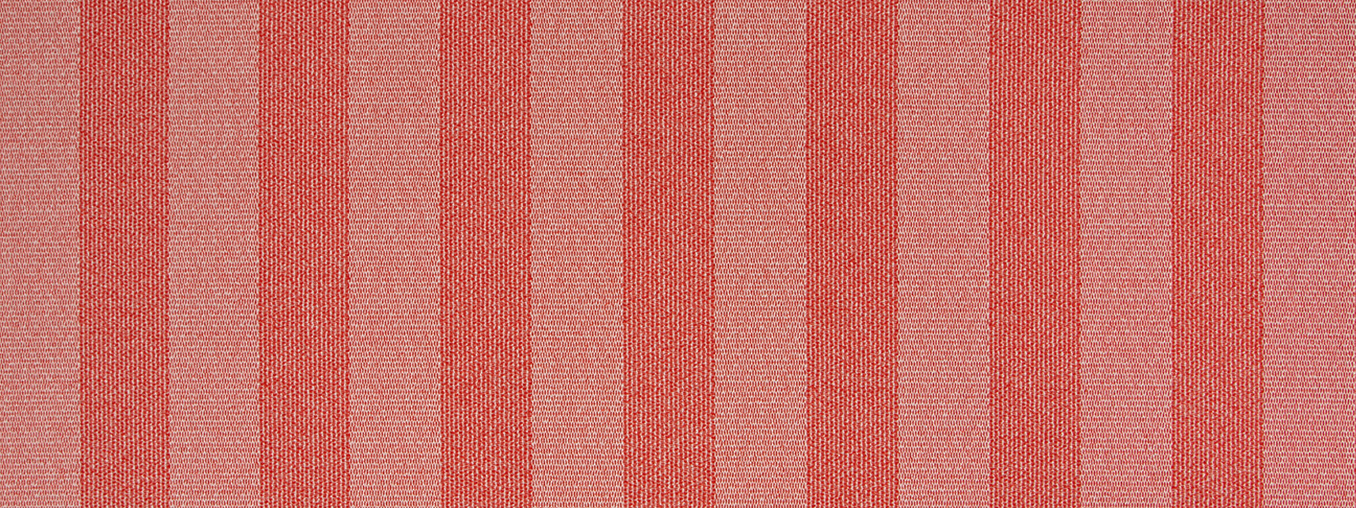 BEZIQUE | TOMATO