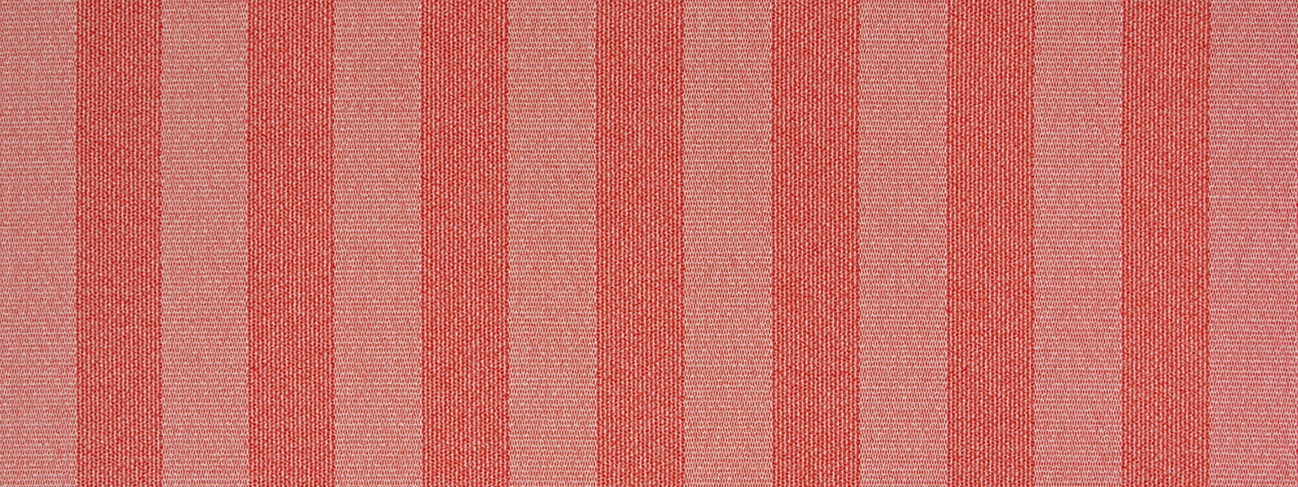 BEZIQUE | TOMATO