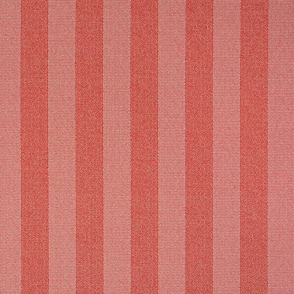 BEZIQUE | TOMATO