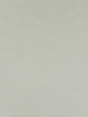 ZIMTURN | ALOE - Multi-purpose