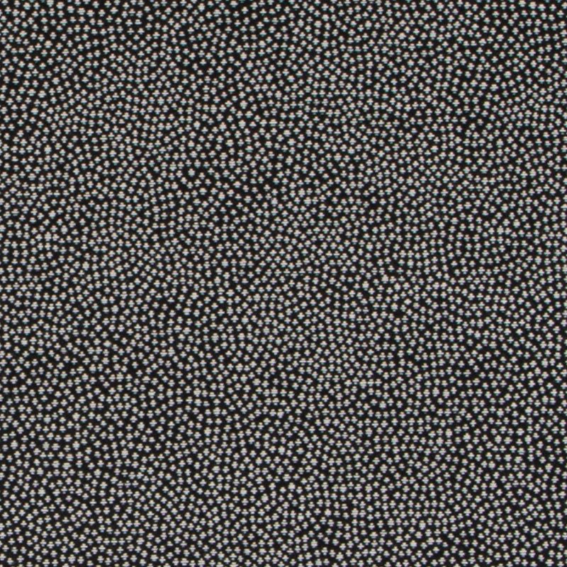 DU16443 | 295-BLACK/WHITE - Upholstery - Fabric