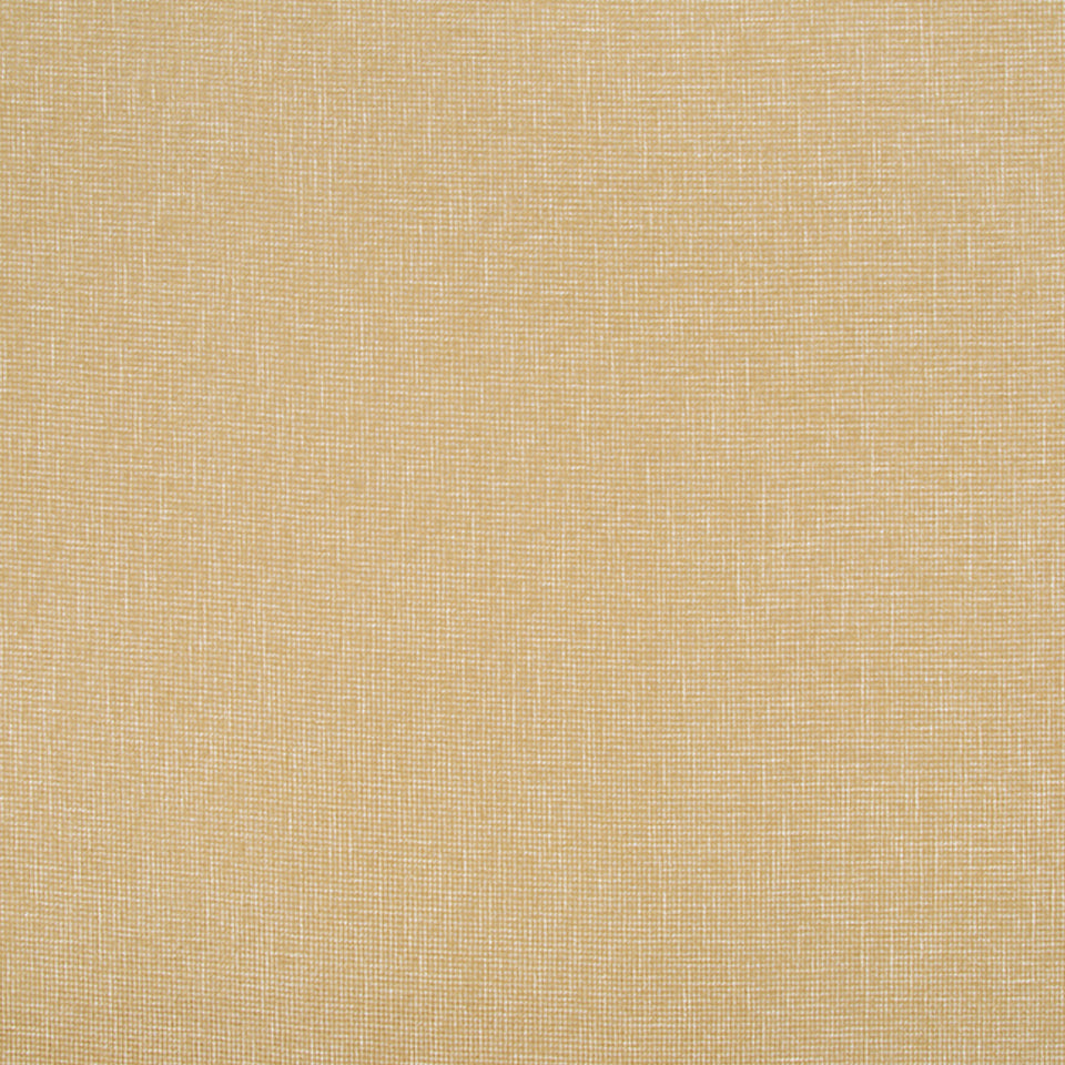Barrister | Mustard