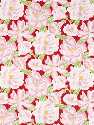 O'KEEFFE BLOOM | AURORA