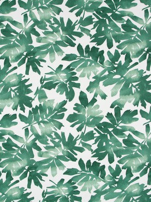 MATISSE CUTOUT | KELP