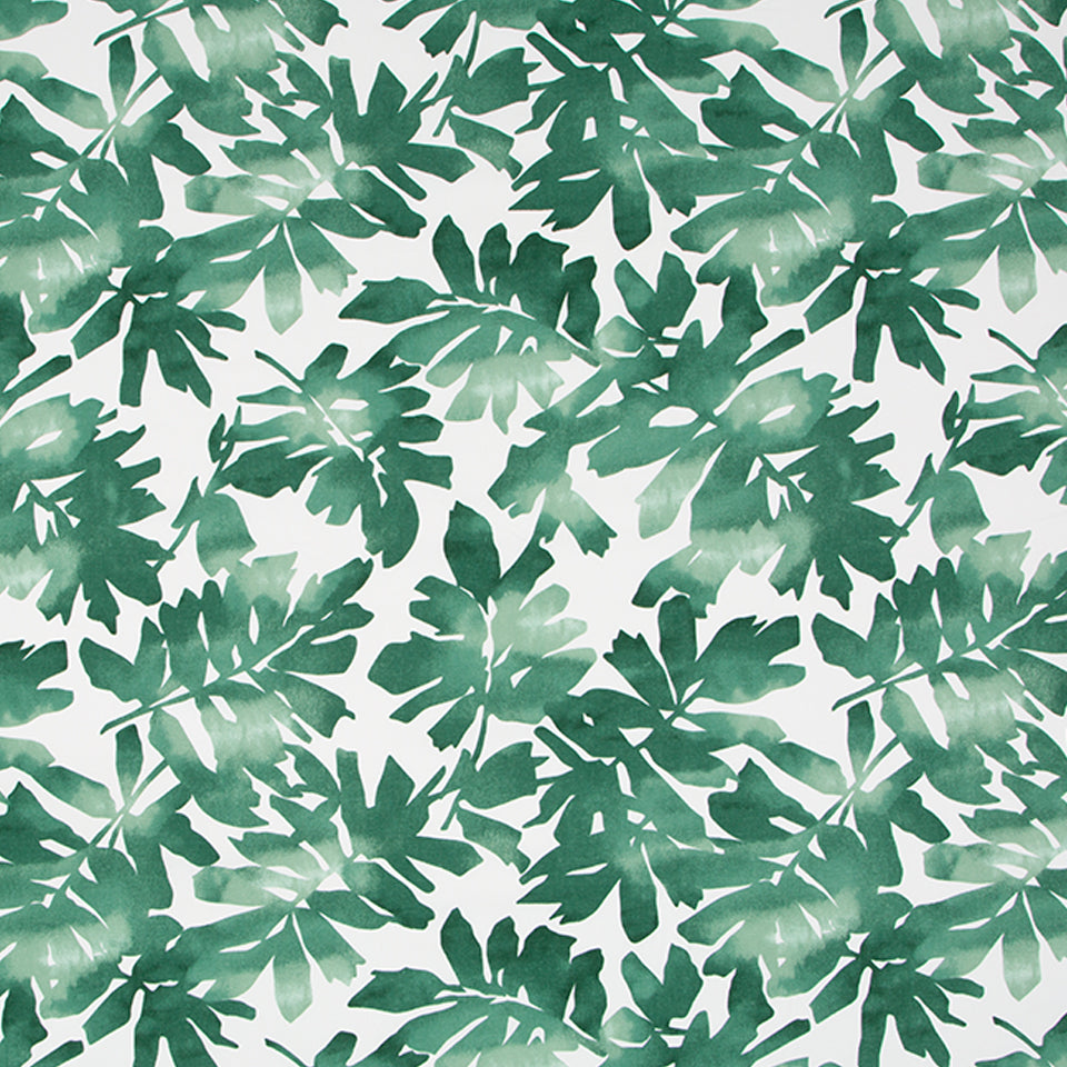 MATISSE CUTOUT | KELP