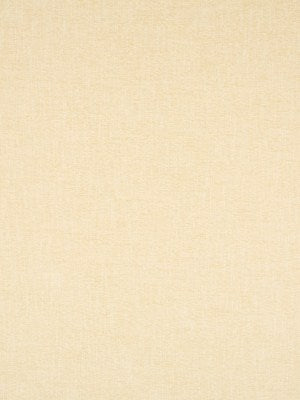 Hicks Weave Bk | Golden Hour