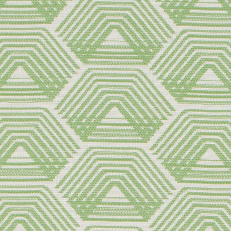 DO61918 | 2-GREEN - Drapery - Fabric