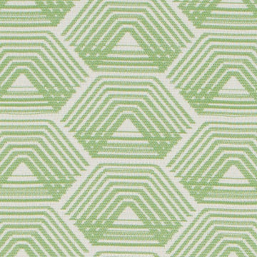 DO61918 | 2-GREEN - Drapery - Fabric