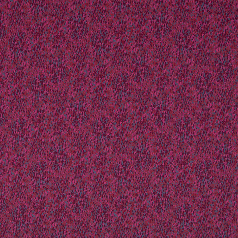DISPERSION | BERRY