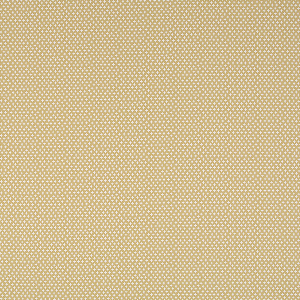 Idyllic Charm | Maize