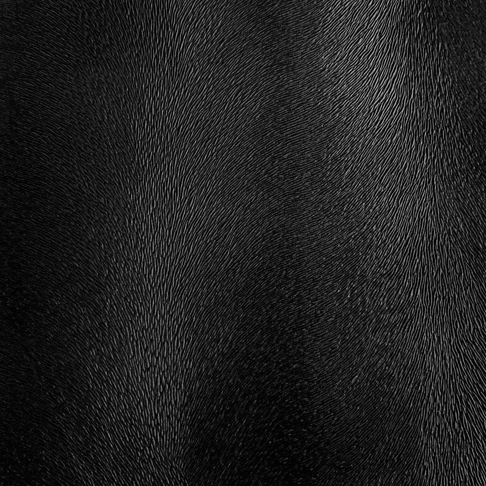 ALGONQUIN | BLACK