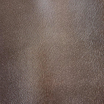 ALGONQUIN | BEIGE