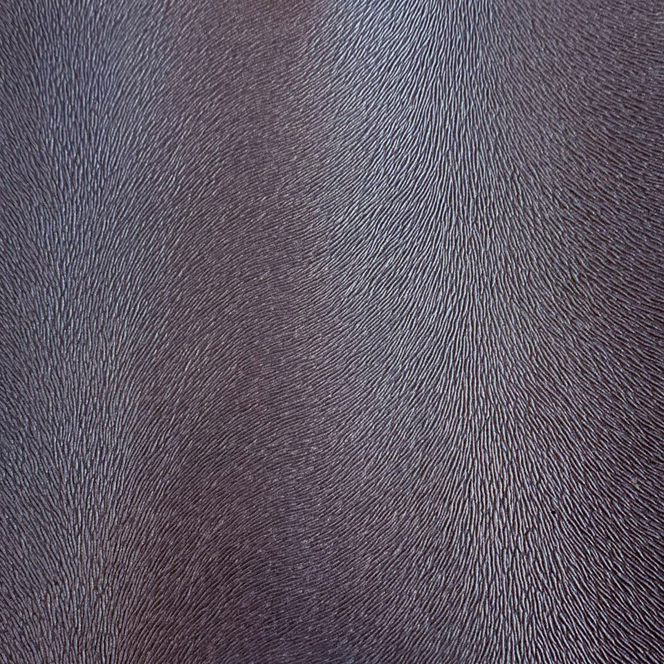 Algonquin | Charcoal