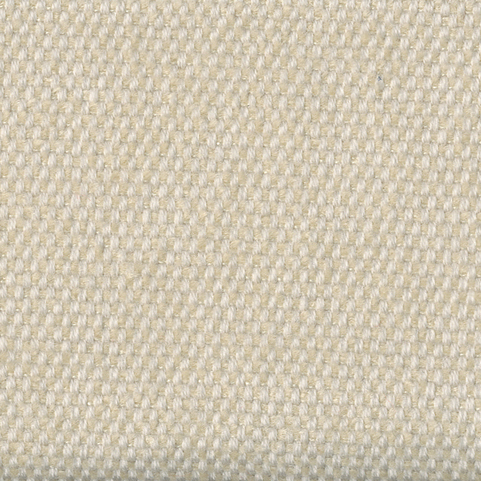 SIRENUSE | IVORY