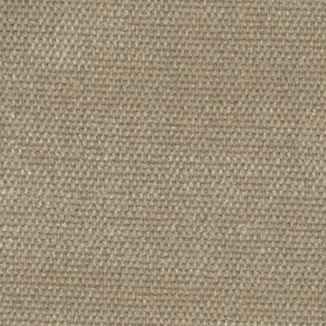 SIRENUSE | CAMEL