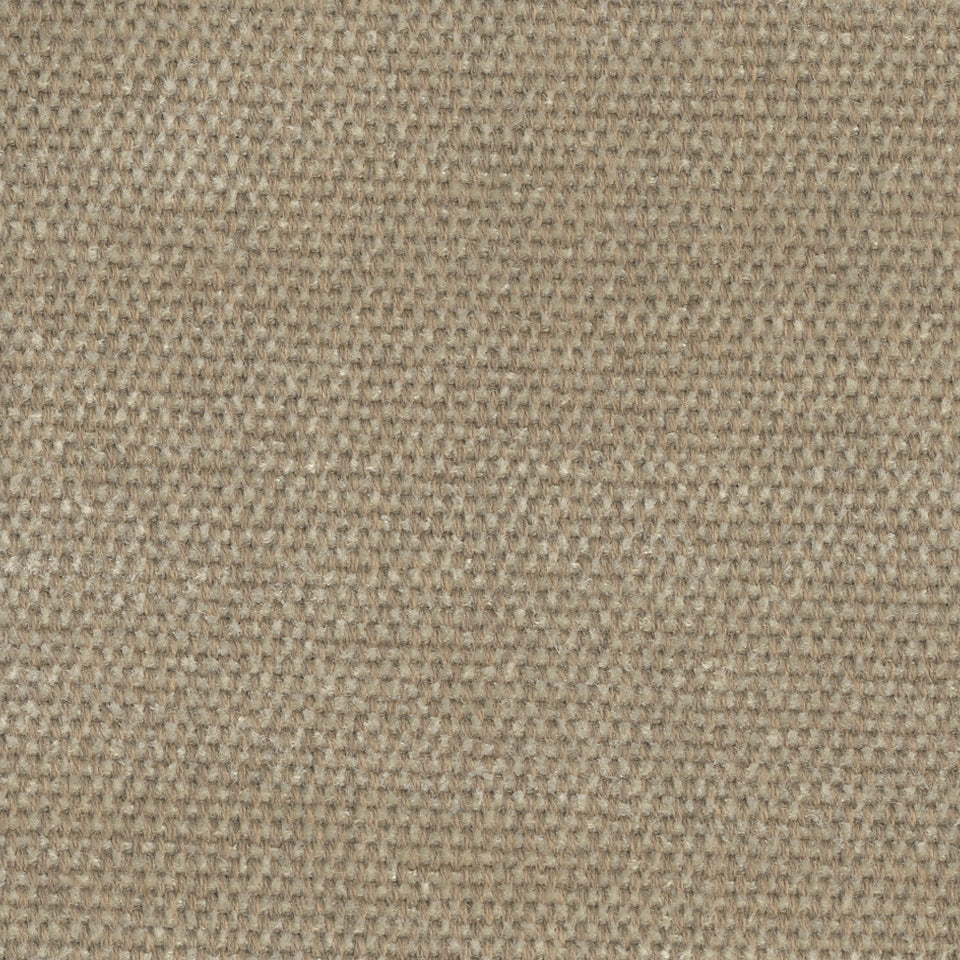 SIRENUSE | CAMEL