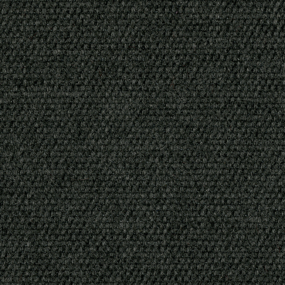 SIRENUSE | CHARCOAL
