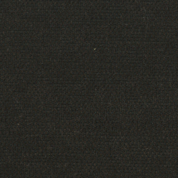 SIRENUSE | COAL