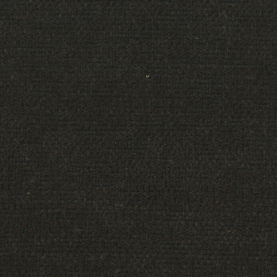 SIRENUSE | COAL