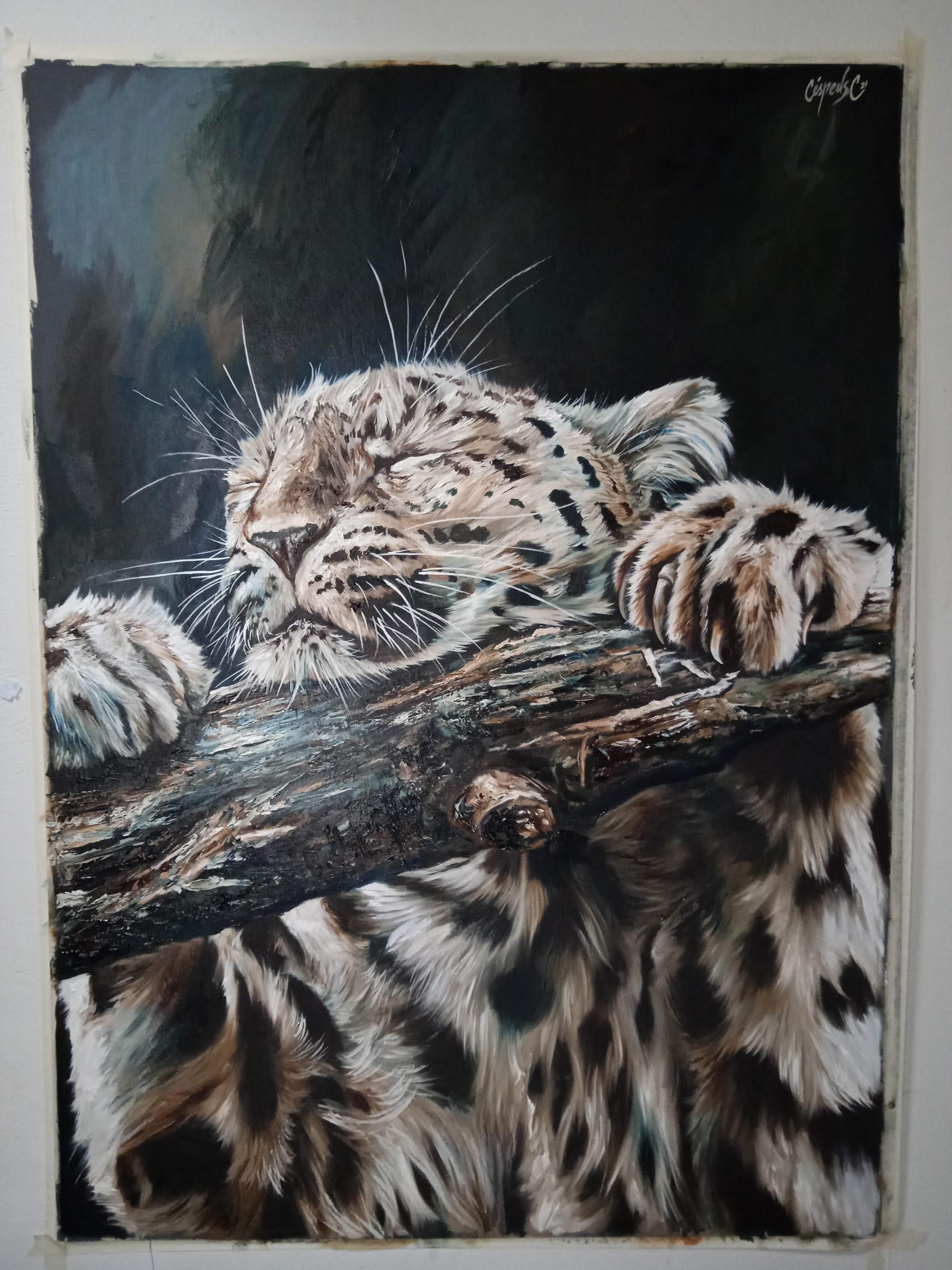 Leopard-Covid