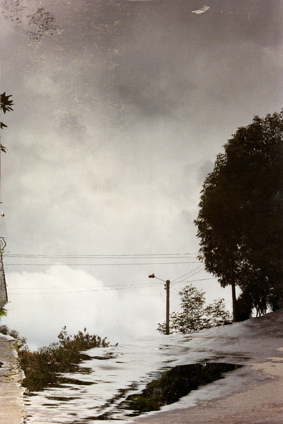 Between The Ephemeral And The Permanent 1