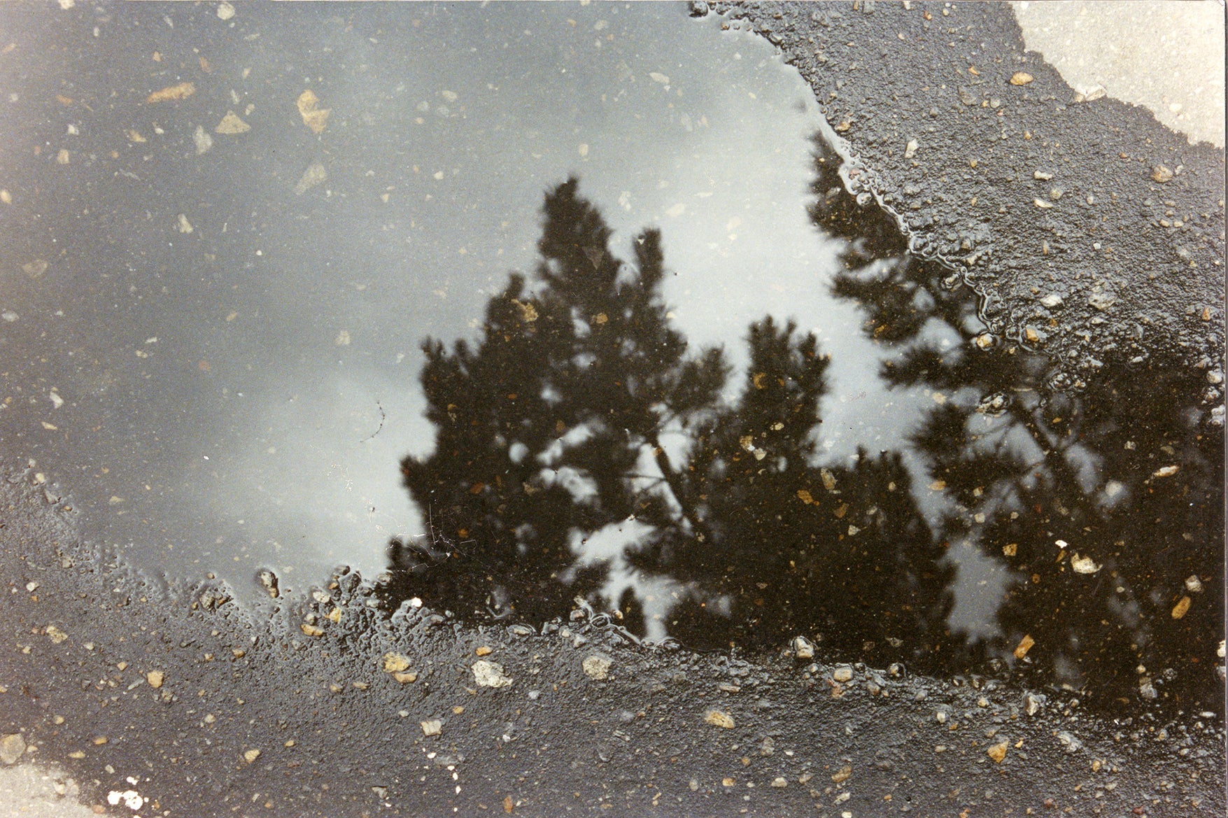 Between The Ephemeral And The Permanent 3