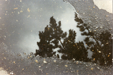 Between The Ephemeral And The Permanent 3