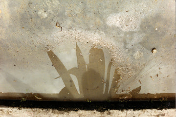 Between The Ephemeral And The Permanent 4