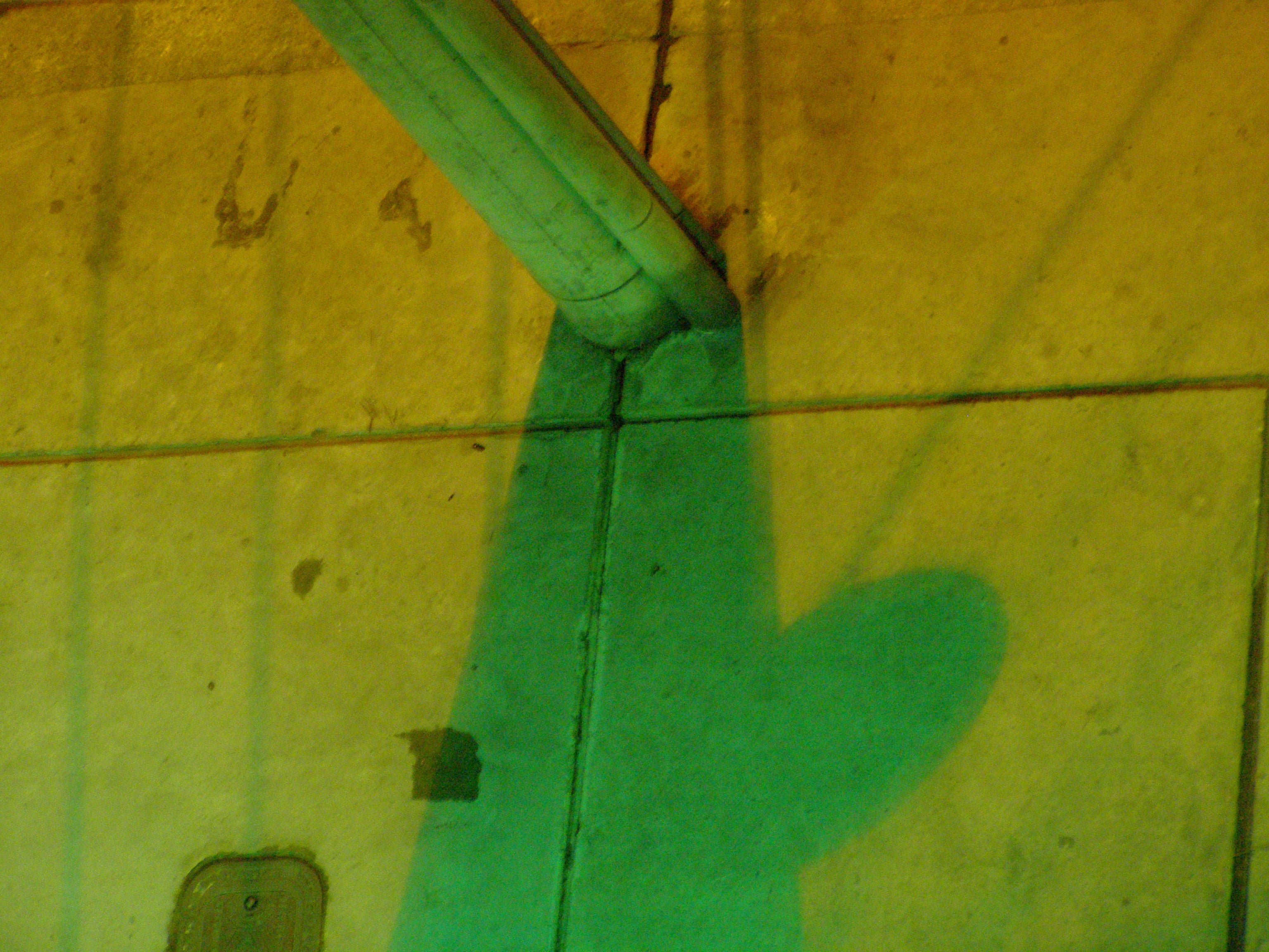 Naturally Urban V2 (1)