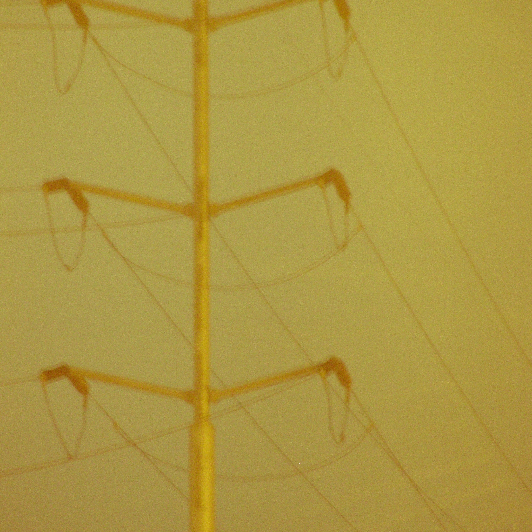 Naturally Urban V2 (4)