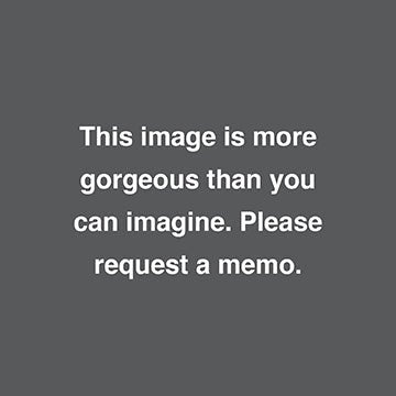 EURO SHAM | VELVT APP CR/WT - Manufactured Bedding